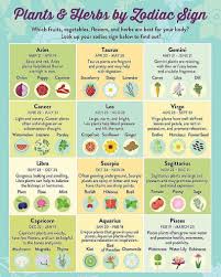 Virgo Aug 23 Sept 22 Astrology Herbs Zodiac Signs