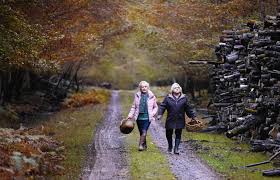 有限会社ロングライド