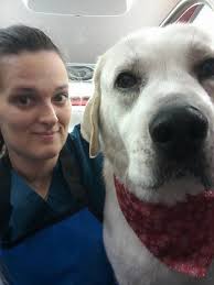 I'm looking for the post about a portable dog groomer? Can anyone send me  in the right direction? Thank you 🥰