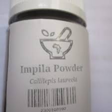 Image result for Callilepis laureola