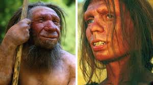 The denisovan and neanderthal genomes have been preserved because they lived in cold, dry places. Our Ancestors Were Partying With Denisovans 14 500 Years Ago Ie