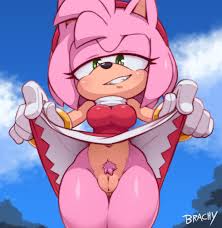 sega, sonic (series), sonic the hedgehog (series), amy rose, brachyzoid -  R34 Vault