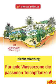 Teichbepflanzung Selbst De In 2020 Teichbepflanzung Teichpflanzen Teich