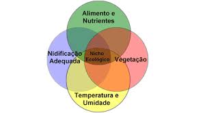 Nicho Ecológico: aprenda o que é - Manual do Enem