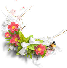 Here you'll find hundreds of high quality fiori transparent png or svg. 86 Ottime Idee Su Fiori Png Fiori Png Giardino Di Tulipani