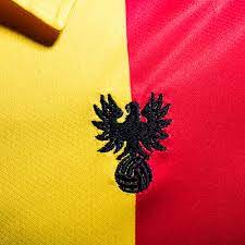 At first, i was hesitant on ordering a shirt because of the negative reviews talking about the shirt being too faded. Go Ahead Eagles 2021 Hummel 100th Anniversary Retro Shirt 20 21 Kits Football Shirt Blog