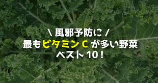 最もビタミンcが多い野菜ベスト10 風邪予防には何を食べればいいの 野菜ソムリエ Hiro のベジフルポケット