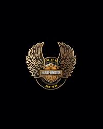 Image result for harley davidson wing