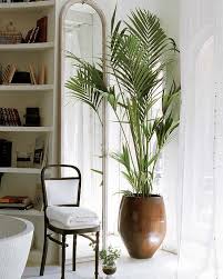 Check spelling or type a new query. Como Decorar Con Plantas De Interior Novocom Top