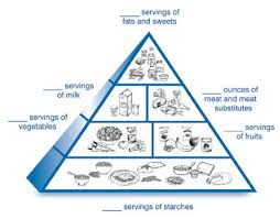 52 Perspicuous How To Draw Balanced Diet Chart