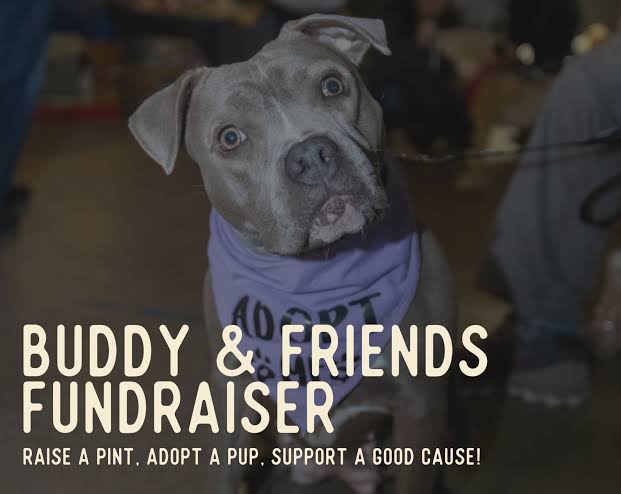 Buddy & Friends Animal Rescue Fundraiser & Adoption