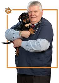 Find out what works well at pet wellness clinics from the people who know best. Veterinarian In Westfield In Animal Hospital In Westfield In