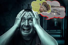 8 Hilariously Terrifying Things in Rockford