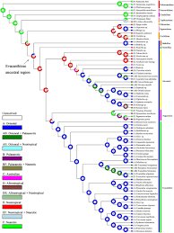 Graphical Output From Bbm Analysis Exported From Rasp Of