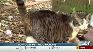 Dog vaccines and cat vaccines help protect your pet from contagious diseases, many of which can cause serious illness or death. Mobile Vet Clinic Offers Low Cost Pet Vaccines