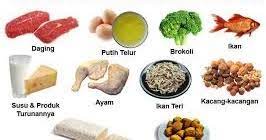 Sertakan makanan berprotein tinggi ini dalam dietmu dan sambutlah hari esok yang lebih sehat. Blog Kesehatan Indonesia 20 Contoh Makanan Yang Mengandung Protein Tinggi