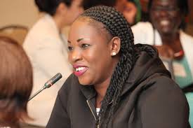 Stakeholders Meetings and Consultations