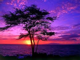 Check spelling or type a new query. Pink And Purple Sunset Wallpapers Top Free Pink And Purple Sunset Backgrounds Wallpaperaccess