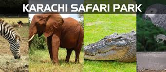 Welcome page at windsor safari park. Safari Park In Karachi Facilities Timings Ticket Prices More Zameen Blog
