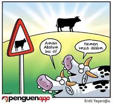Zafer Kurt Adli Kullanicinin Karikaturler Panosundaki Pin Karikatur Komik Seyler Komik Bilgiler