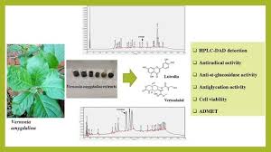 Image result for Vernonia adoensis