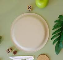 9 Inch Disposable Biodegradable Sugarcane Bagasse Paper ...