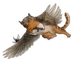 Pin On Gryphons
