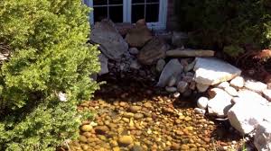 Buying the best koi pond filter for your needs isn't only important for the success of your pond—it's also a significant financial investment. Dargoart Drawing Of Gogeta Drawing Gogeta Ssj Sj Cool Arts 23 Youtube Anggota Komisi
