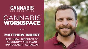 How Curaleaf's Matthew Indest Works: Cannabis Workspace