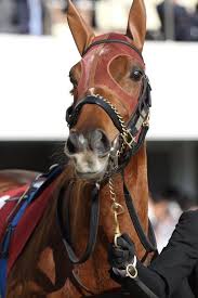 2021/04/11(日) 14:19 今日阪神競馬場行った奴いるのかな🥺 ソダシぬいぐるみ開始5分でターフィーショップで売れきれだってよ🥺 79 : ä¸­å±±è¨˜å¿µ ãƒ©ãƒƒã‚­ãƒ¼ãƒ©ã‚¤ãƒ©ãƒƒã‚¯ ç«¶èµ°é¦¬ ç‰é¦¬ åé¦¬