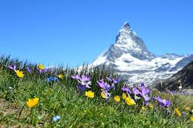 Švýcarsko je menší zemí, která se nachází v srdci evropy. Hmoty Vysokohorsky Zermatt Hory Gornergrat Valais Svycarsko Priroda Svycarske Alpy Summitu Horske Leto Pikist