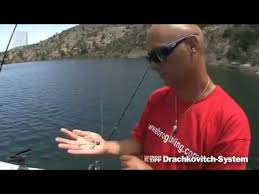 Recall that the total daily cost of a port queueing system with a certain number of berths (servers) is defined as a sum of total service cost per day, the 4 dragović, b. Drachkovitch System Angeltipp Youtube