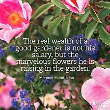 Pin By Better Homes Gardens On Gorgeous Garden Plants Gardening Quotes Funny Garden Quotes Flower Quotes