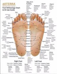 Foot Reflexology Pressure Points Chart Free Reflexology