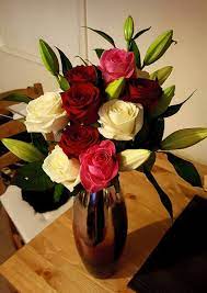 #1dfanfic #boyfriend #fanfic #fanfiction #harrystyles #horan #humor #liampayne #louistomlinson #niall #niallhoran #niallhoranfanfic #onedirection #tion #type #typeofboyfriend #zaynmalik. Bought My Boyfriend Some Flowers Would You Like It If A Girl Bought You Flowers Imgur