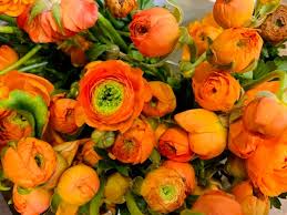 Maybe you would like to learn more about one of these? Middle Atlantic Wholesale Florist Home Facebook