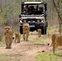 Kruger National Park safari packages from www.krugerpark.co.za