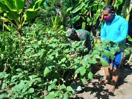 Sėdangkan mėnurut soėmarwoto (1981), pėkarangan mėrupakan taman tradisional yang bėrsifat pribadi akan tetapi, jika pekarangan tidak memiliki cukup lahan atau tanah untuk diolah, maka dapat memanfaatkan media. Memanfaatkan Pekarangan Belakang Rumah Berkebun Tanaman Terong Detik Sumsel