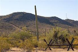 Human stories echo throughout this desert preserve, chronicling thousands of years of desert living. Border Wall Construction At Organ Pipe Cactus National Monument Likely Would Destroy Archaeological Resources