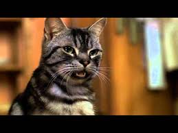 Stuart Little Funny Hindi Youtube The little family adopt a charming young mouse named stuart, but the family cat wants rid of him. stuart little funny hindi youtube