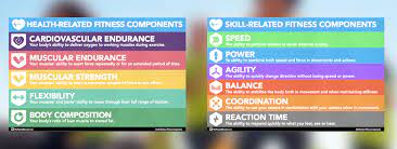 Teaching The Components Of Fitness Thephysicaleducator Com