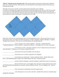 The main difference between animal cell mitosis and plant cell mitosis is that in animal cell undergoes cell furrowing while plant cell do not because of the rigid cell wall. Mitosis And Meiosis Book