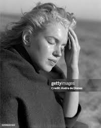 564 Andre Monroe Fotos und hochauflösende Bilder