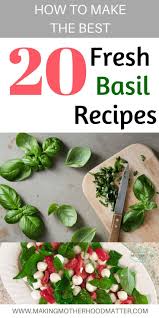 How To Make The Best 20 Fresh Basil Recipes Recipe Fresh Basil Recipes Basil Recipes Fresh Herb Recipes