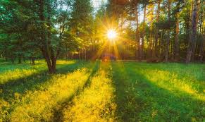 Preţul pentru gaz se va tripla. Prognoza Meteo Luna Iunie Cum Va Fi Prima LunÄ De VarÄ In Romania Se SchimbÄ Vremea Radical Impact