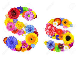 55 beautiful flower pictures for your inspiration. Letter S Of Flower Alphabet Isolated On White Letter Consist Stock Photo Picture And Royalty Free Image Image 21375966