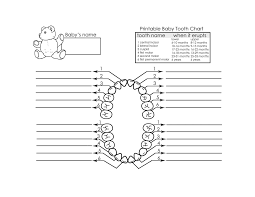 Baby Teeth Chart Printable Tooth Chart Baby Album New