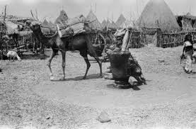 صور نادره من تهامة العام 1945ـ 1947 م منتديات جازان Animals Horses