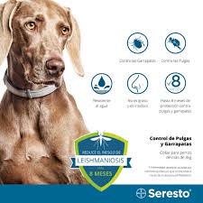 Seresto Kopekler Icin Seresto Yaka