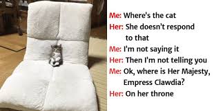 20 Adorable Kitten Memes To Cheer Up Your Day